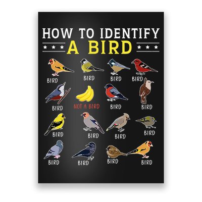 How To Identify A Bird Bird Watcher Bird Lover Poster