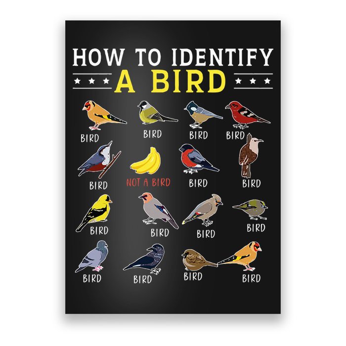 How To Identify A Bird Bird Watcher Bird Lover Poster