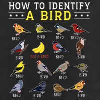 How To Identify A Bird Bird Watcher Bird Lover 25L Jumbo Tote