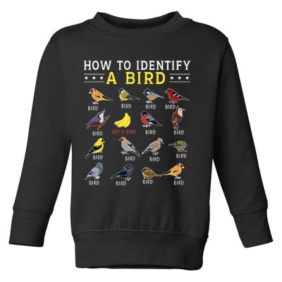 How To Identify A Bird Bird Watcher Bird Lover Toddler Sweatshirt