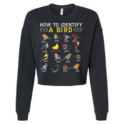 How To Identify A Bird Bird Watcher Bird Lover Cropped Pullover Crew