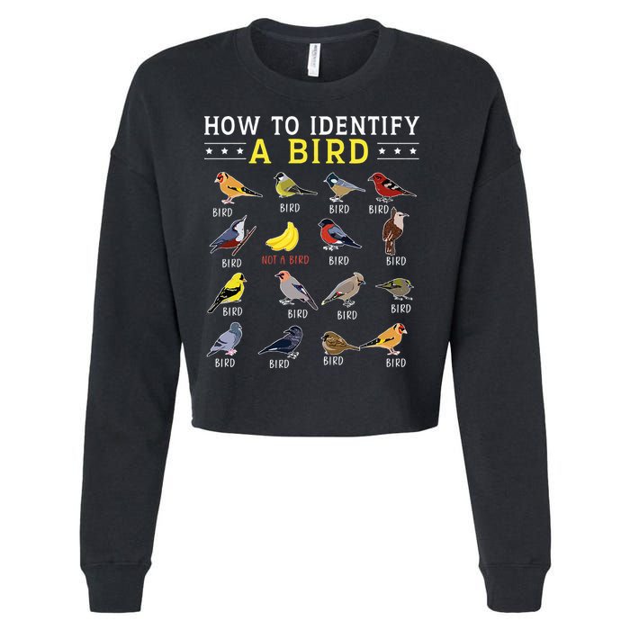 How To Identify A Bird Bird Watcher Bird Lover Cropped Pullover Crew