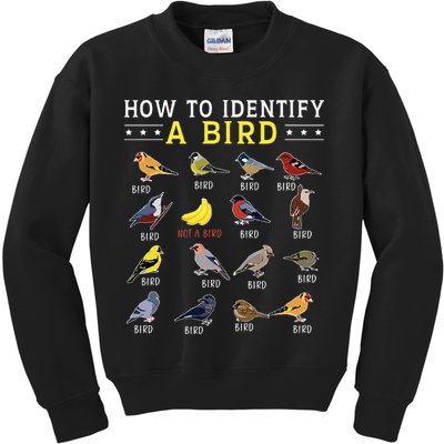How To Identify A Bird Bird Watcher Bird Lover Kids Sweatshirt