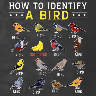 How To Identify A Bird Bird Watcher Bird Lover T-Shirt