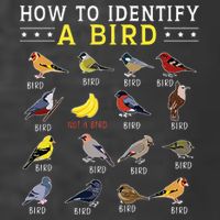How To Identify A Bird Bird Watcher Bird Lover Premium T-Shirt