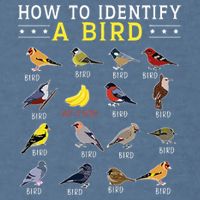 How To Identify A Bird Bird Watcher Bird Lover Garment-Dyed Sweatshirt