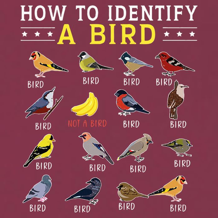How To Identify A Bird Bird Watcher Bird Lover 16oz Travel Tumbler
