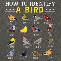 How To Identify A Bird Bird Watcher Bird Lover Cotton Canvas Backpack