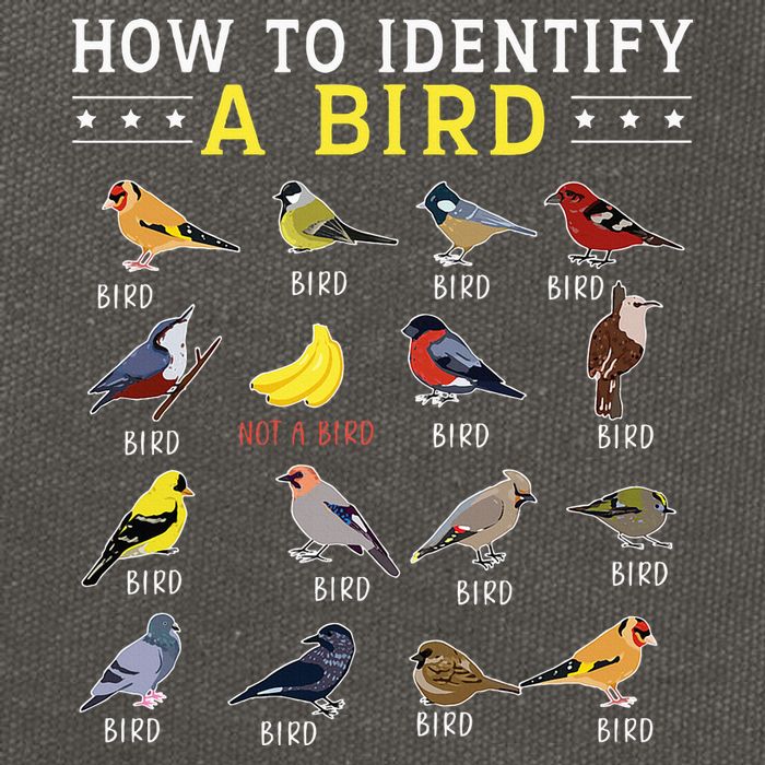 How To Identify A Bird Bird Watcher Bird Lover Cotton Canvas Backpack