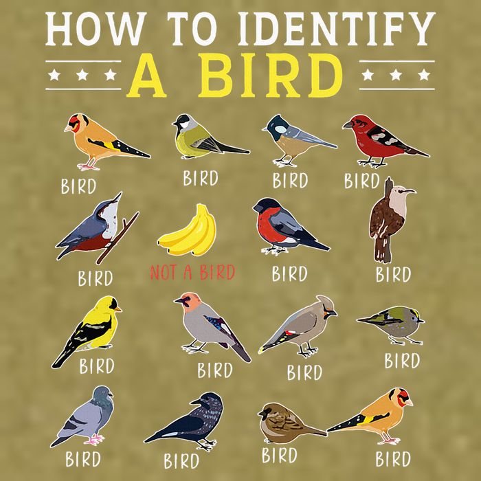 How To Identify A Bird Bird Watcher Bird Lover Garment-Dyed Women's Muscle Tee