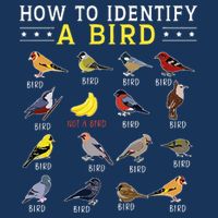 How To Identify A Bird Bird Watcher Bird Lover Infant Baby Jersey Bodysuit