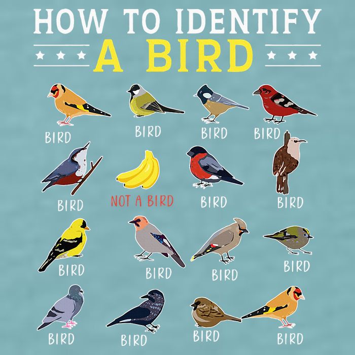 How To Identify A Bird Bird Watcher Bird Lover Sueded Cloud Jersey T-Shirt