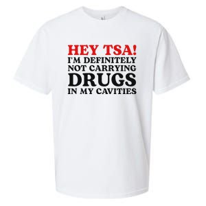 Hey Tsa IM Definitely Not Carrying Drugs In My Cavities Sueded Cloud Jersey T-Shirt