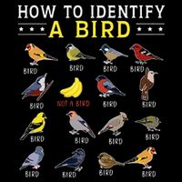 How To Identify A Bird Bird Watcher Bird Lover Flat Bill Trucker Hat