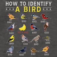 How To Identify A Bird Bird Watcher Bird Lover Vector Backpack