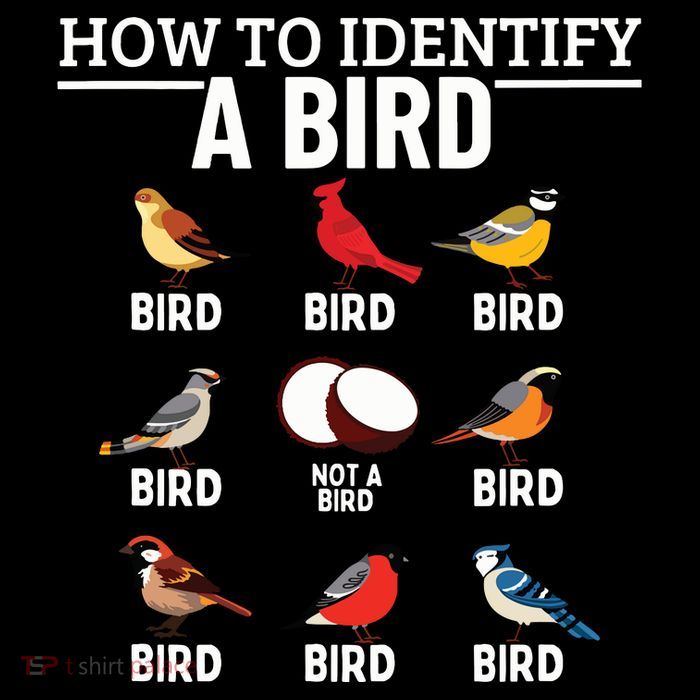 How To Identify A Bird Funny Bird Watching T-Shirt