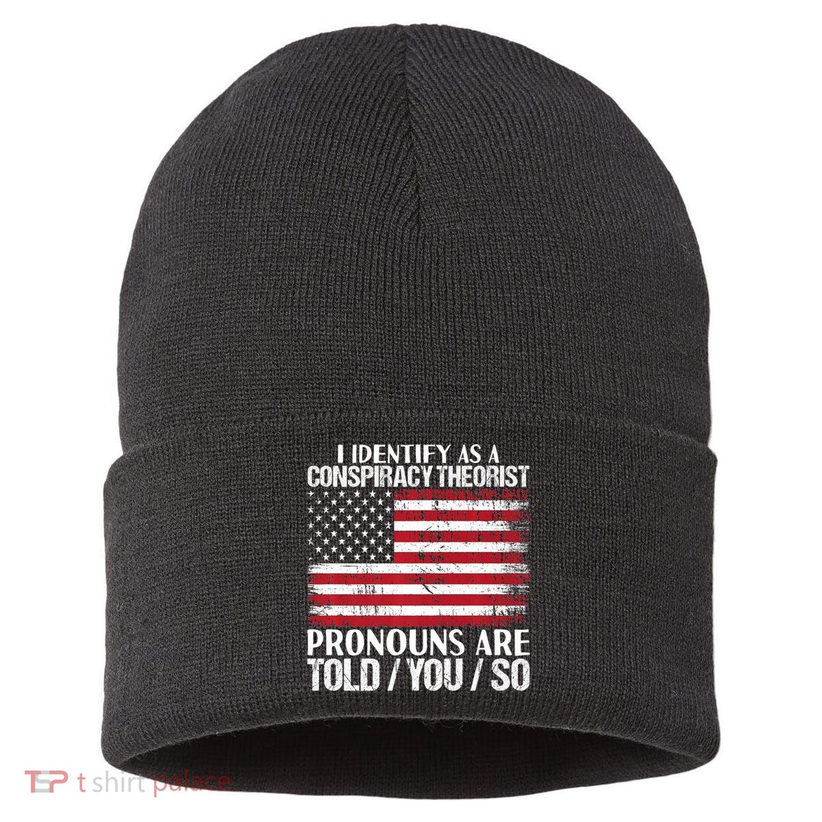 Hot Trend I Identify As A Conspiracy Theorist Pronouns Are Told You So Sustainable Knit Beanie