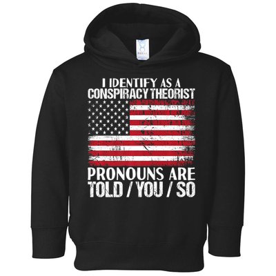Hot Trend I Identify As A Conspiracy Theorist Pronouns Are Told You So Toddler Hoodie