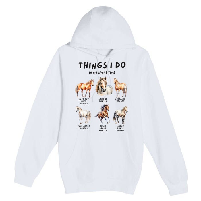 Horse Things I Do In My Leisure Time Premium Pullover Hoodie