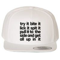 Hard222soft Try It Bite It Lick It Spit It Pull It To The Side And Get All Up In Wool Snapback Cap