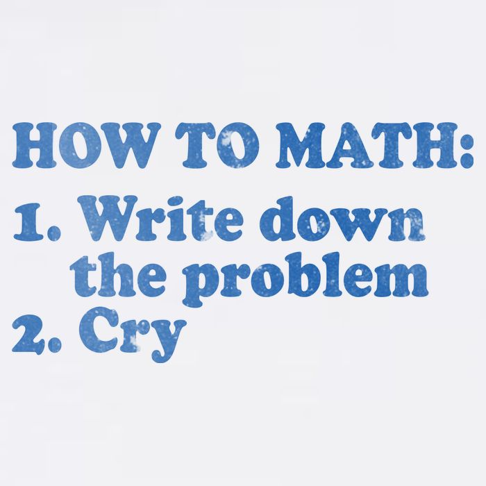 How To Math Write Down The Problem And Cry Garment-Dyed Sweatshirt