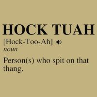 Hock Tuah Noun Definition Person Who Spit On That Thang Hoodie