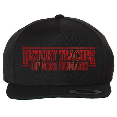 History Teacher Of Mini Hu Team Funny Gift Wool Snapback Cap