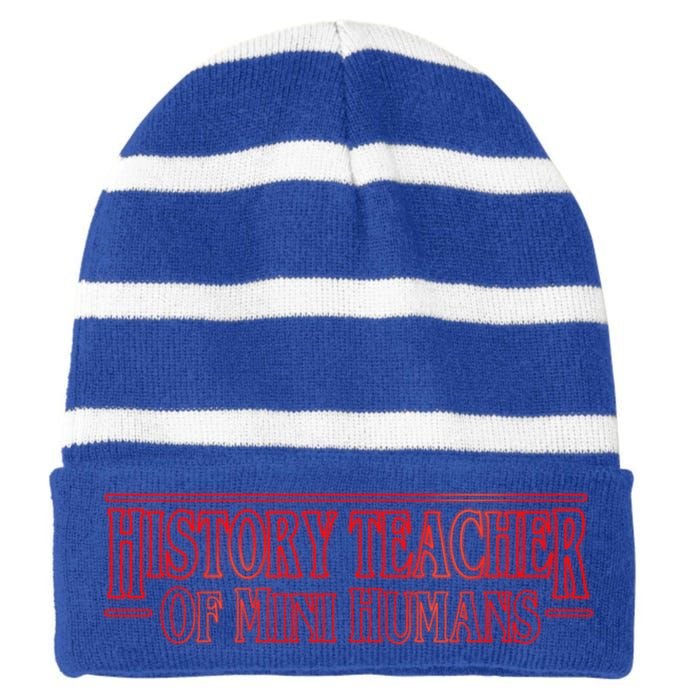 History Teacher Of Mini Hu Team Funny Gift Striped Beanie with Solid Band