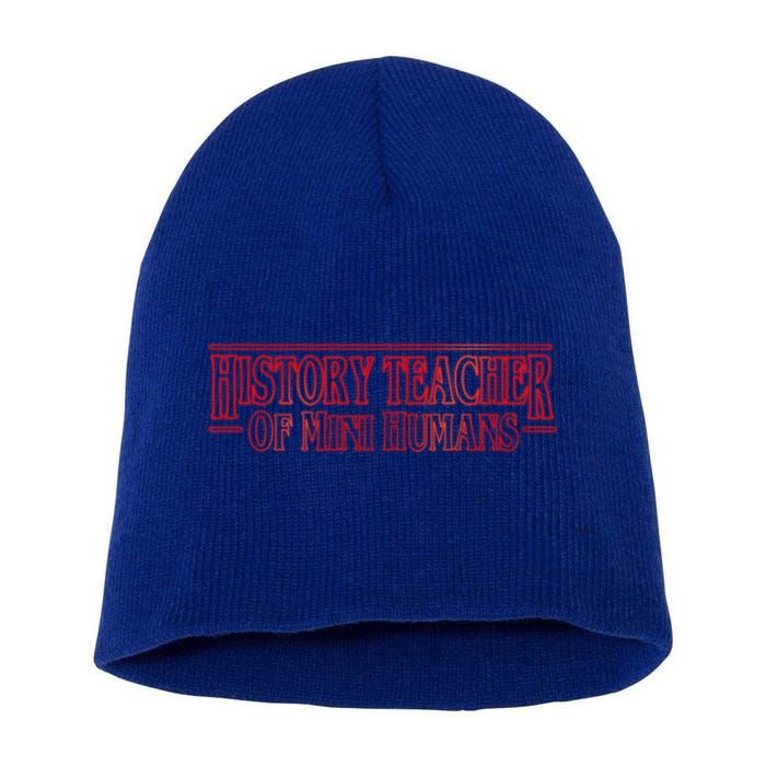 History Teacher Of Mini Hu Team Funny Gift Short Acrylic Beanie