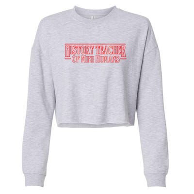 History Teacher Of Mini Hu Team Funny Gift Cropped Pullover Crew