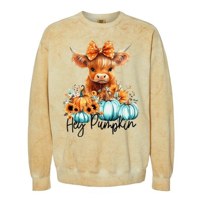 HayS There Pumkin Highland Cow Fall Autumn Thanksgiving Colorblast Crewneck Sweatshirt