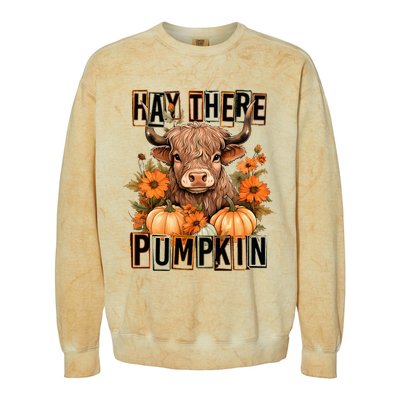 Hay There Pumkin Highland Cow Fall Autumn Thanksgiving Colorblast Crewneck Sweatshirt