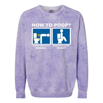 How To Poop Wrong Right Funny Meme Colorblast Crewneck Sweatshirt