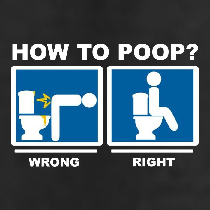 How To Poop Wrong Right Funny Meme Crop Fleece Hoodie