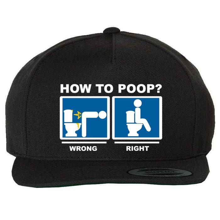 How To Poop Wrong Right Funny Meme Wool Snapback Cap