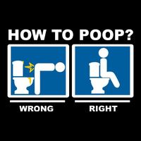 How To Poop Wrong Right Funny Meme Wool Snapback Cap