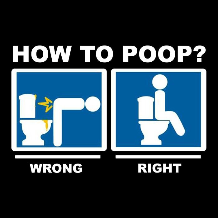 How To Poop Wrong Right Funny Meme Wool Snapback Cap
