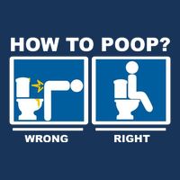 How To Poop Wrong Right Funny Meme Cool Comfort Performance Bucket Hat