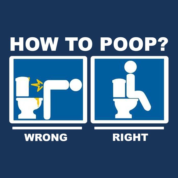 How To Poop Wrong Right Funny Meme Cool Comfort Performance Bucket Hat