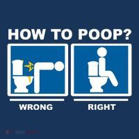 How To Poop Wrong Right Funny Meme Sustainable Beanie