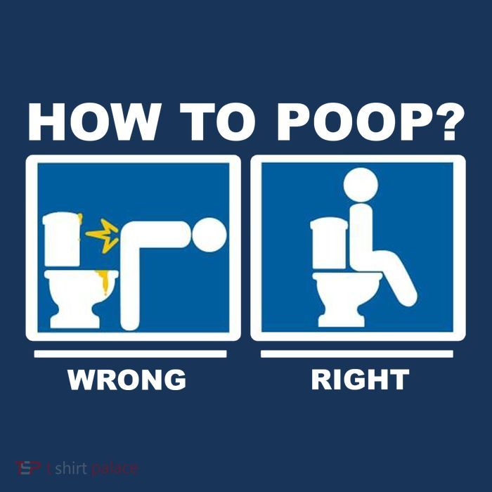 How To Poop Wrong Right Funny Meme Sustainable Knit Beanie