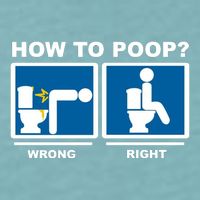 How To Poop Wrong Right Funny Meme Sueded Cloud Jersey T-Shirt