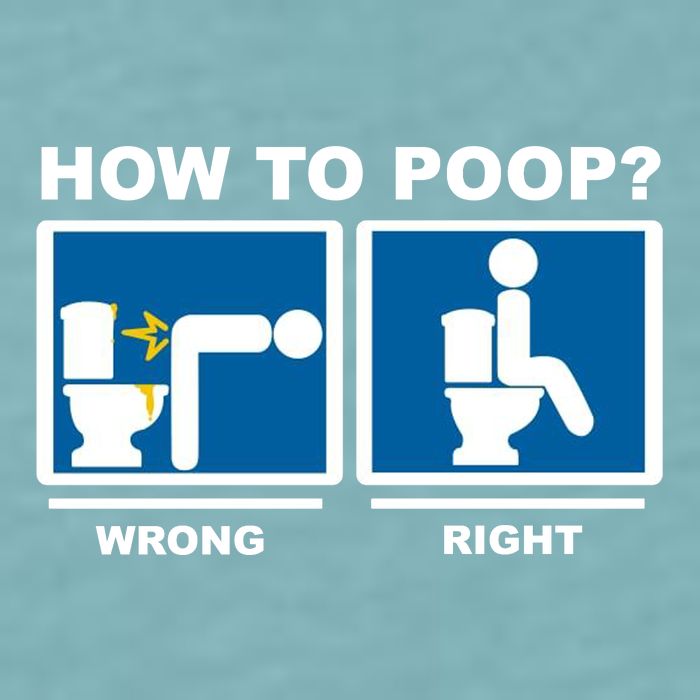 How To Poop Wrong Right Funny Meme Sueded Cloud Jersey T-Shirt