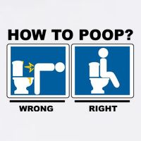 How To Poop Wrong Right Funny Meme Garment-Dyed Sweatshirt