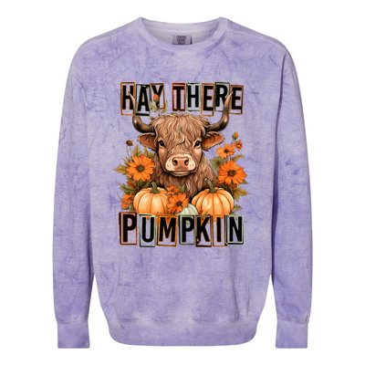 Hay There Pumkin Highland Cow Fall Autumn Thanksgiving Colorblast Crewneck Sweatshirt