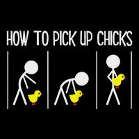 How To Pick Up Chicks Hilarious Graphic Funny Sarcastic Flat Bill Trucker Hat