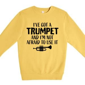 Hilarious Trumpet Player Saying Trumpeter Ive Got A Trumpet Premium Crewneck Sweatshirt