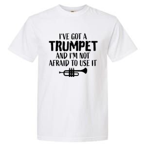 Hilarious Trumpet Player Saying Trumpeter Ive Got A Trumpet Garment-Dyed Heavyweight T-Shirt