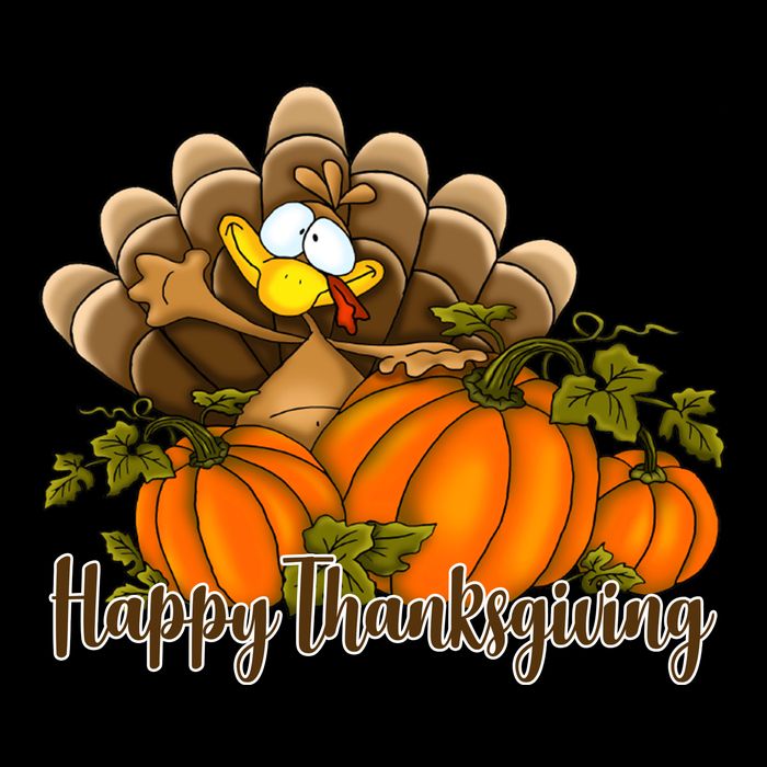 Happy Thanksgiving Pumpkins Fall Autumn Cute Turkey Impact Tech Backpack