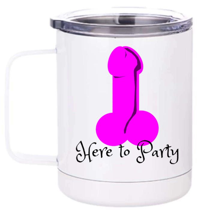 Here To Party Dick Dirty Funny Adult Sex Joke Gift Idea 12 oz Stainless Steel Tumbler Cup